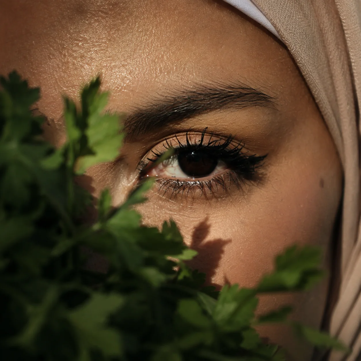 Regard évocateur, univers Maison Kouba